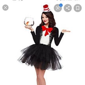 Cat in the hat adult costume.